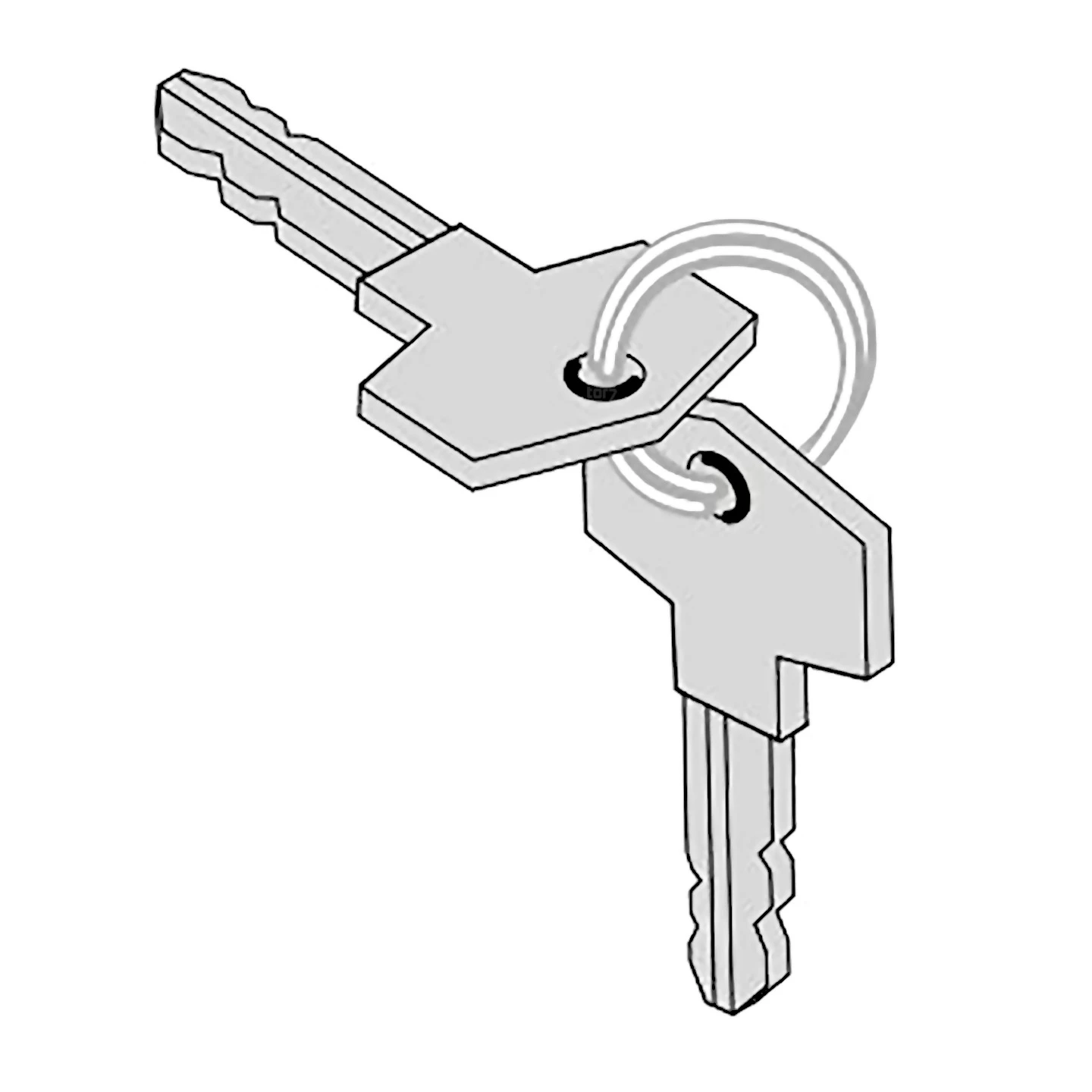 SOMMER Schlüssel Hebelschloss Twist 200 E/EL/350/AM, 2-Stück 1 SOMMER Schlüssel Hebelschloss Twist 200 E/EL/350/AM, 2-Stück